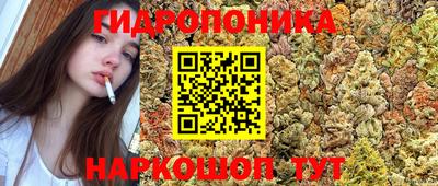 a pvp Бузулук