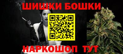 гашик Будённовск