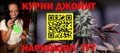 гашик Будённовск