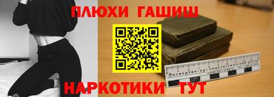 гашик Будённовск