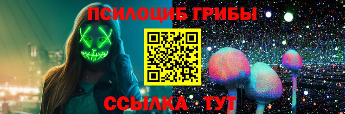 Псилоцибиновые грибы мицелий  цена   Пенза  Вход с VPN 